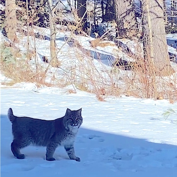 Meet your Posher, DevereauxCassie - Picture 11 of 12